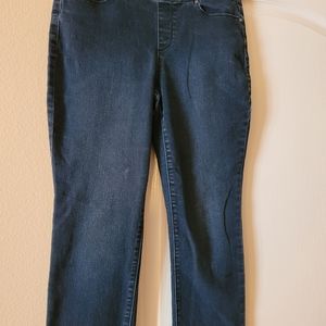 Gloria Vanberbilt All Around Slimming jean pull-on  Good condition